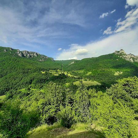Rafting Camp Green Tara Šćepan-Polje Kültér fotó