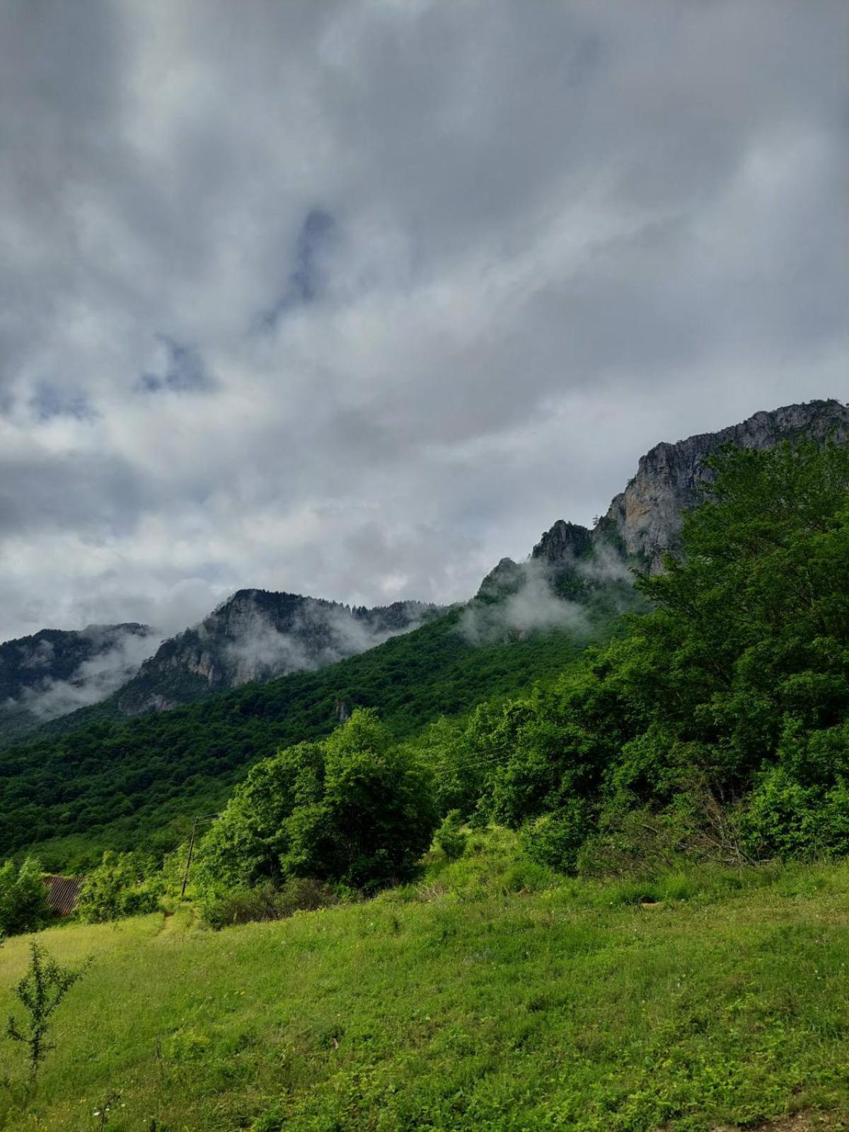 Rafting Camp Green Tara Šćepan-Polje Kültér fotó