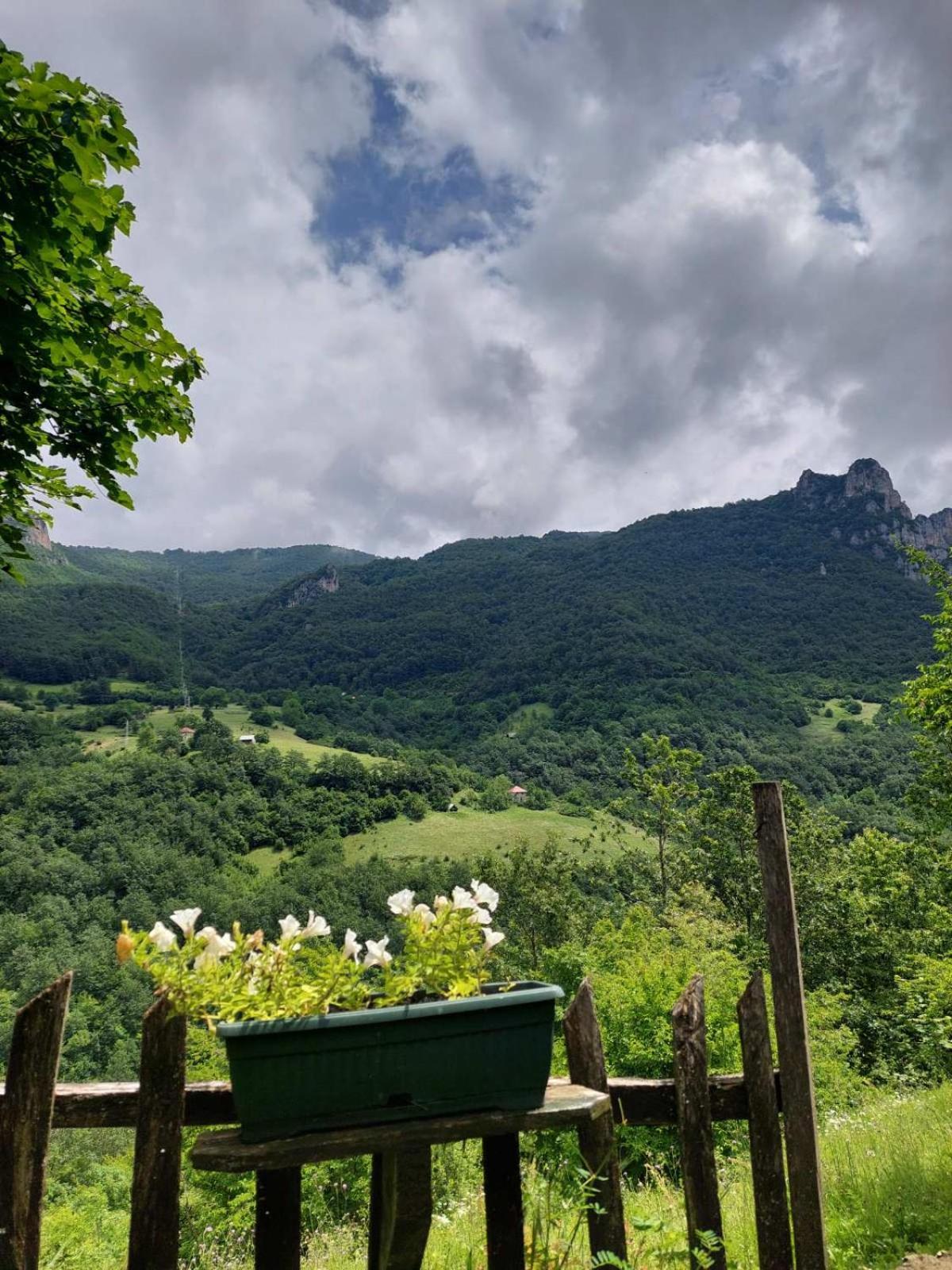 Rafting Camp Green Tara Šćepan-Polje Kültér fotó